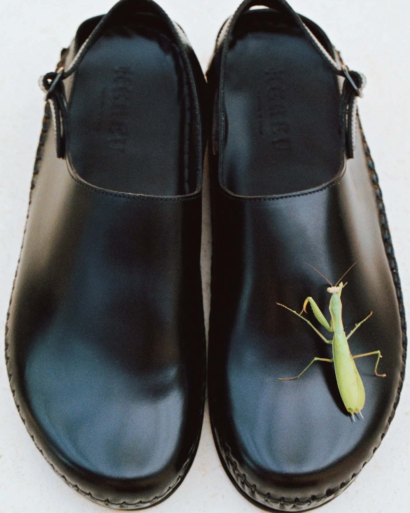 Hereu Studio Sandals<CARGOL