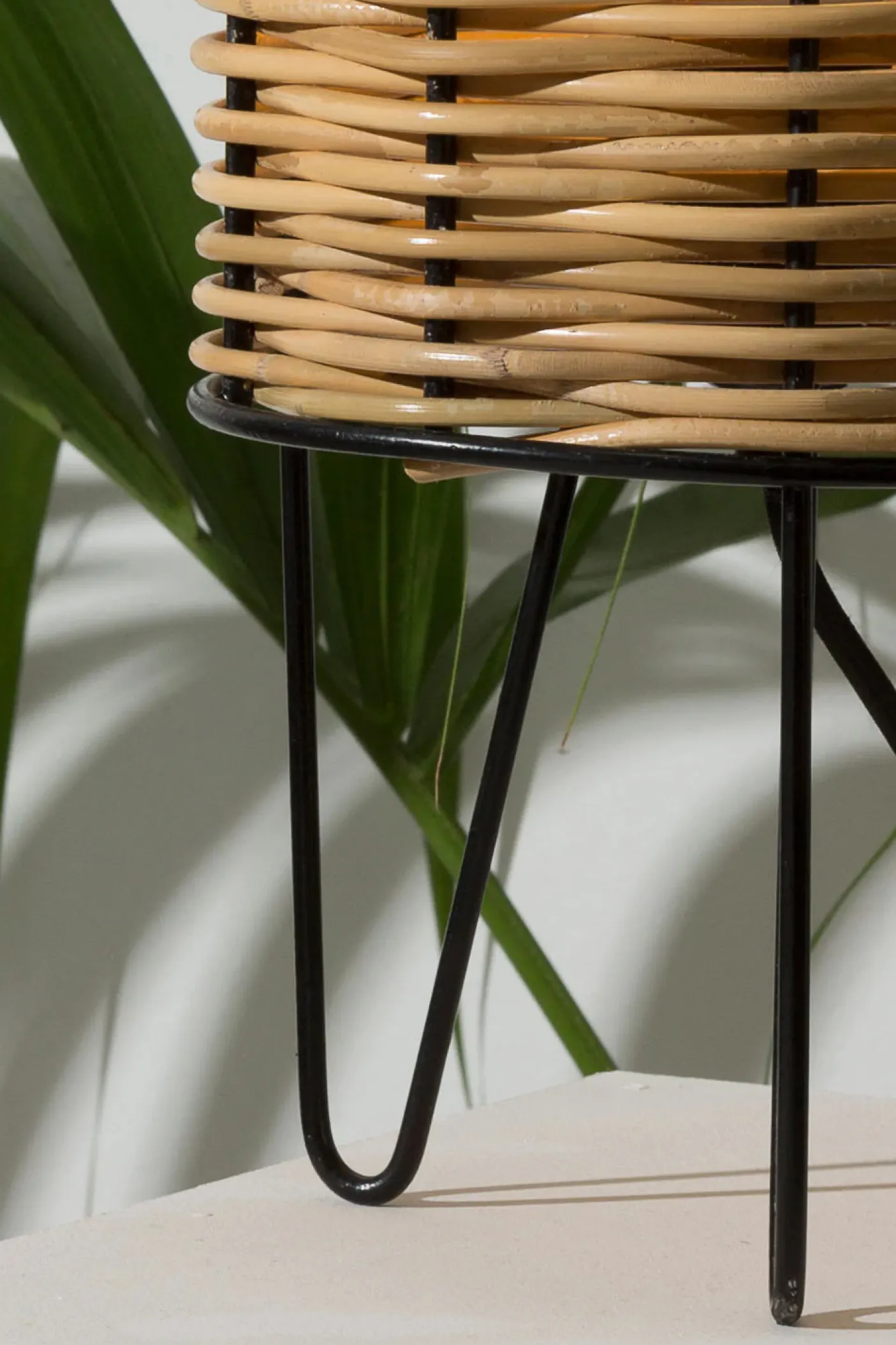 Hereu Studio Home<LA FOSCA
