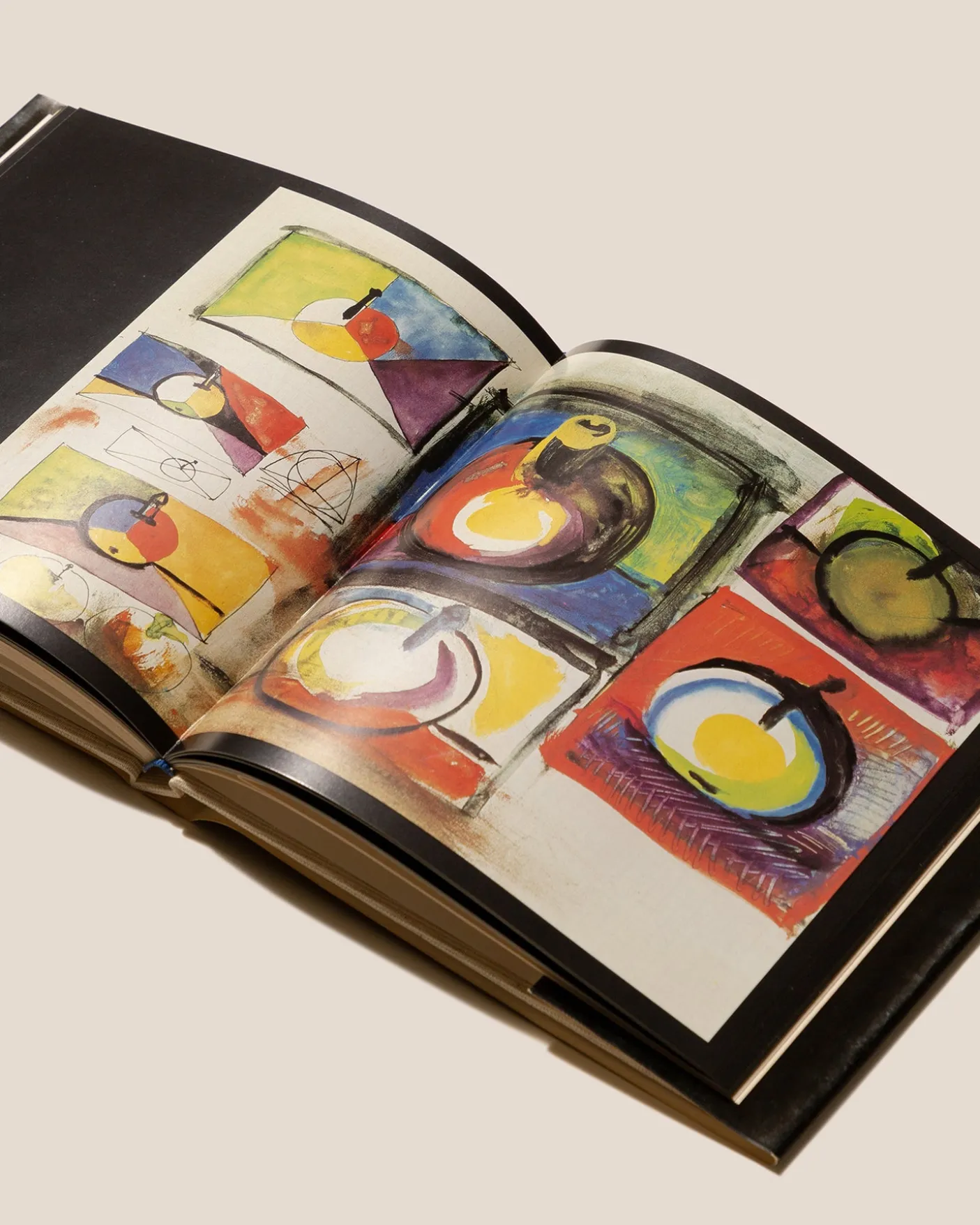 Hereu Studio Rare Books Curated By Terranova<PICASSO